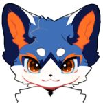 Elton Shelby的头像-SCR中文论坛